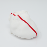 POCUS Heart Slice Models (Set of 3)