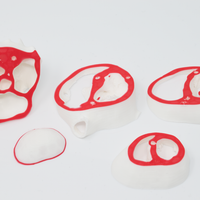 POCUS Heart Slice Models (Set of 3)